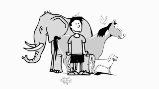 Introduction To The Literacy Toolbox