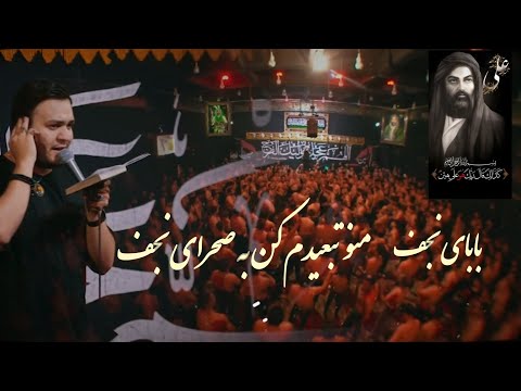 احسان لطفی شور شبهای نجف یه جورایی حسودیم میشه به سگهای نجف شب شهادت حضرت مسلم علیه السلام 