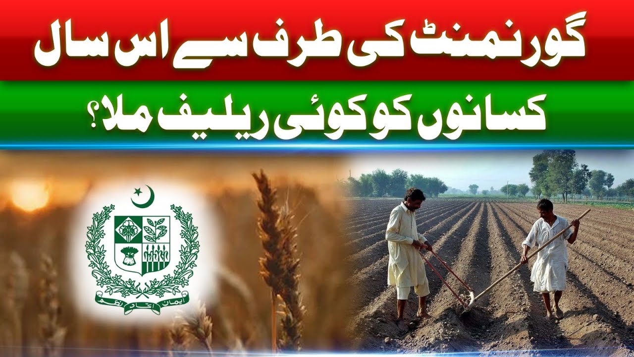 Wheat Crisis in Punjab | Big Blow for Govt | Farmers Protest | Who Is ...