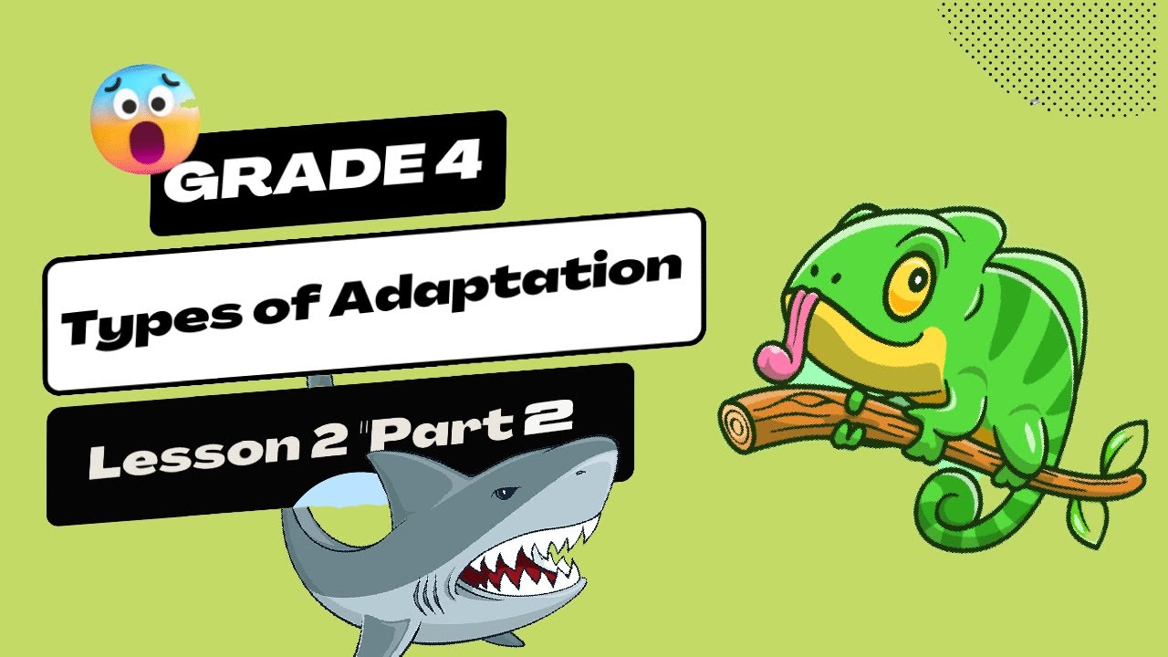SCIENCE Grade 4 ( lesson 2 ) adaptation of chameleon & bull shark ساينس ...