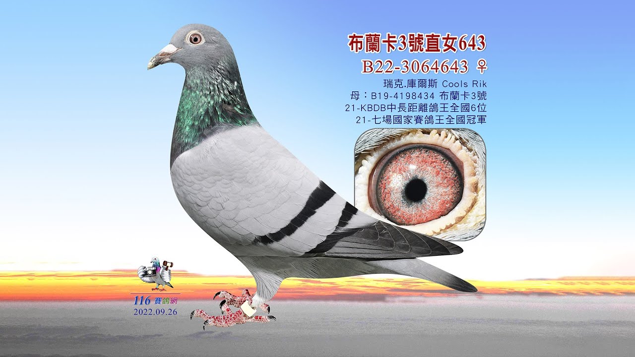 【庫爾斯】B22-3064643 - YouTube