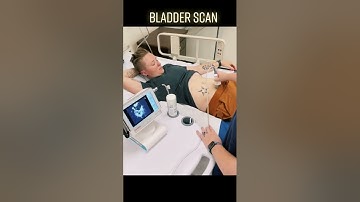 Bladder Scan: Clinical Skills | @LevelUpRN