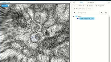 webKnossos: Using Flight Mode for Skeletons Annotation