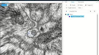 webKnossos: Using Flight Mode for Skeletons Annotation Net Worth