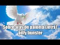 Sobre alas de paloma con letra - billy bunster