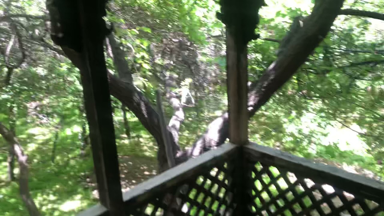 Yabgo dynasty meusium