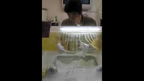 Applied ergodic theory in Seoul