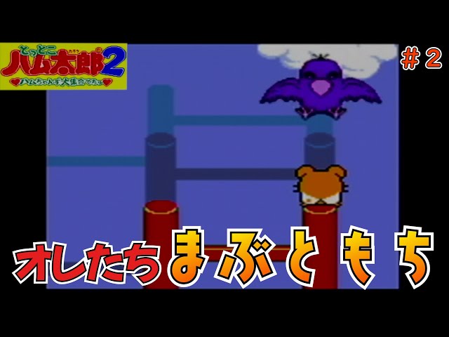 2【とっとこハム太郎2 ハムちゃんず大集合でちゅ】タネキチを