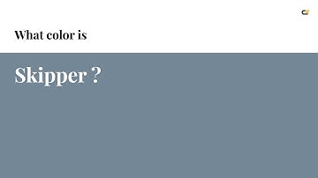 Skipper color #748796 hex color - Grey color - Warm color 748796