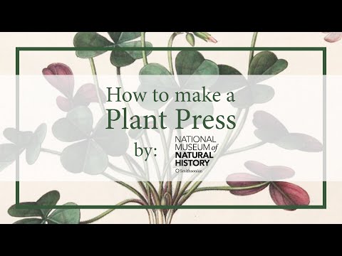 How to Build a Plant Press