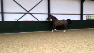 Download Lagu Cosmopolitan MP3