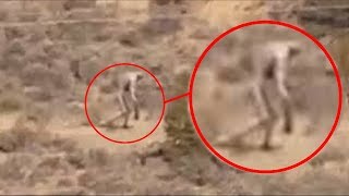 Download 10 Cose Strane Ritrovate Nel Deserto Video MP3 10 Cose Strane Ritrovate Nel Deserto