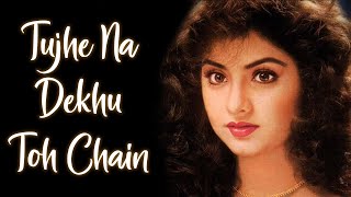 Tujhe Na Dekhu Toh | Kumar Sanu | Alka Yagnik | Rang (1993)