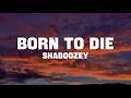 Shaboozey Born To Die Lyrics 