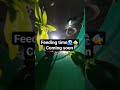 Relaxing Guppy Feeding Underwater view🌊✨️