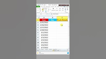 how to get day name from date in ms excel 🔥🔥 #excel #shorts