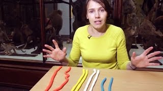 Chromosome 1 - The Stuff Of Life