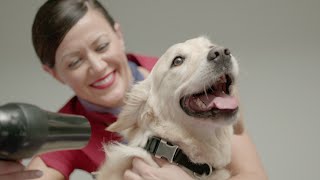 Virgin Australia launches dedicated airport lounge for pets