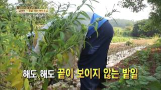 SBS 자기야 130822 #35(4)
