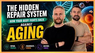 The Hidden Repair System: How Your Body Fights Back Against Aging I The Functional Code Podcast
