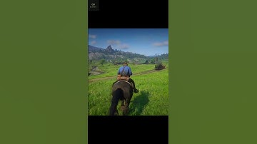 #rdr2 #shorts #gaming #reddeadredemption #shortvideo #arthurmorgan #games #funny #how #johnmarston