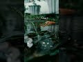 الله تعالی هو الذي بيده مصيرك وبيده الحياة وبيده الرزق وبيده العطاء الله تعالی هو الذي بيده مصيرك وبيده الحياة وبيده الرزق وبيده العطاء