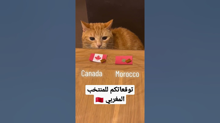 المنتخب المغربي 🇲🇦 ضد 🇨🇦  #كندا #المغرب #مباشر #قطر #مونديال_قطر_2022 موندي