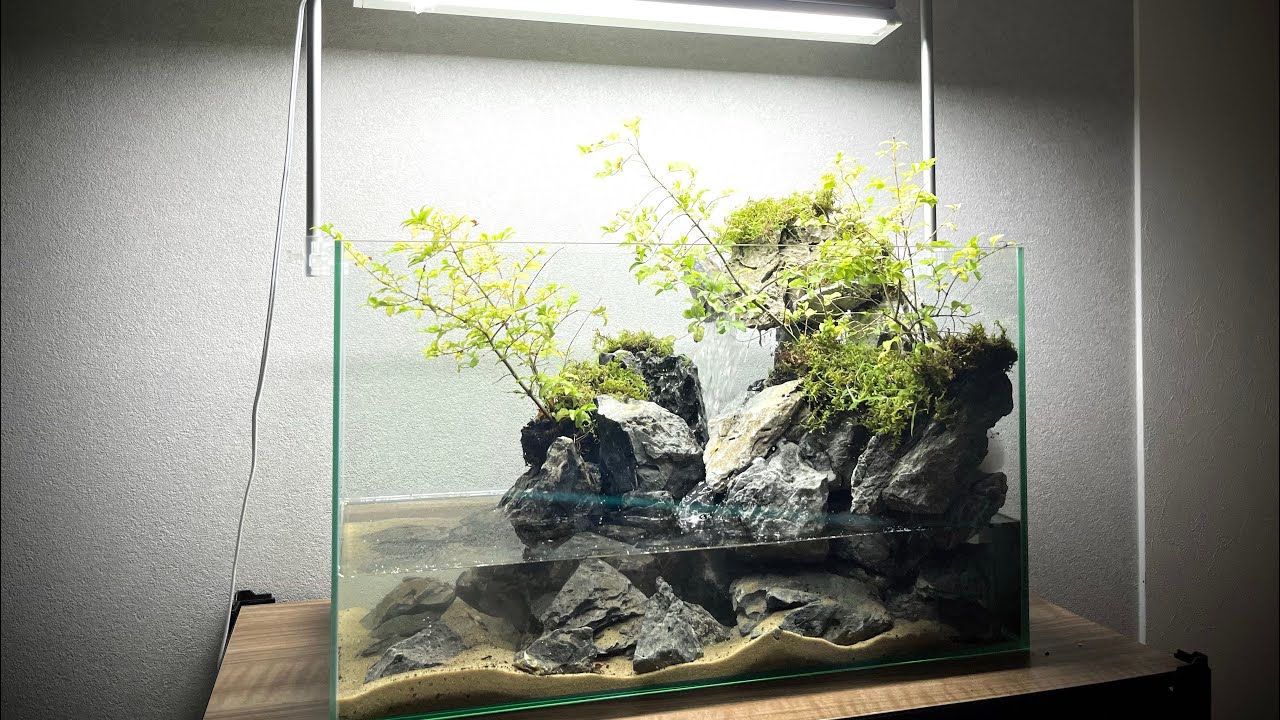 滝レイアウトアクアテラリウム Waterfall aqua terrarium - YouTube