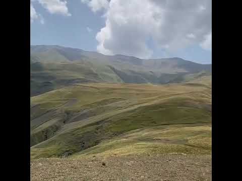 Видео Квардал