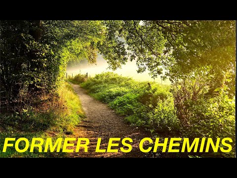 Vidéo: Vitamines De La Forêt, Du Jardin Et Du Potager