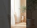 gentle ambient music to start the week | SoftAir #SoftAir #ambientmusic #music #chillmusic