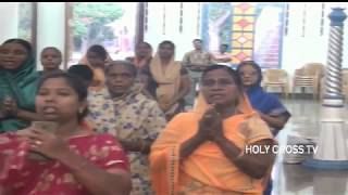 LIVE: Holy Cross Tv | Daily Catholic Tamil Mass | 09-09-2018 |வில்லியனூர் மாதா திருத்தல திருப்பலி screenshot 5