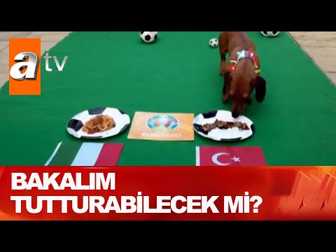 Türkiye mi İtalya