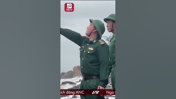 Phát Hiện Container Trôi Dạt Bờ Biển Quảng Ngãi - Tin 60 Giây #shorts