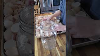 Celebrity Don't Throw Away Your Chicken's Egg Shells! An easy calcium supplement Net Worth