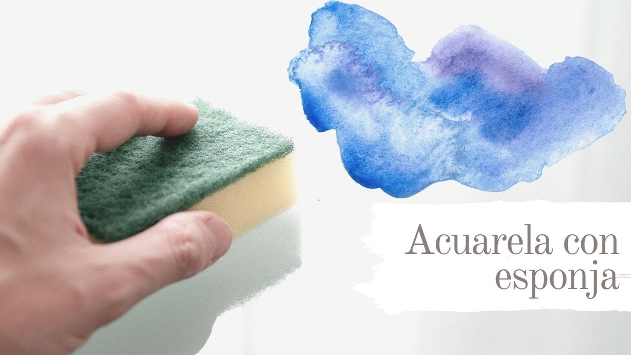 Juego De 6 Pinceles De Esponja Para Pintar, Dibujar Y Pintar Con Acuarela