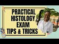 Histology practical steeplechase  exams tipstrickshow to have distinctions in  practical exam 