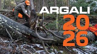 2026 ARGALI FILM TRAILER 4K