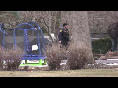 Police say lack of access Car-Net system hampered response to Libertyville carjacking