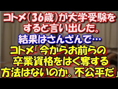【修羅場】 コトメ（36歳）が大学受験をすると言い出した。コトメ「私ちゃんと夫くんは若い時に大学いってずるい。今からお前らの卒業資格をはく奪する方法はないのか。不公平すぎる」 スカッと修羅場ラバンダ