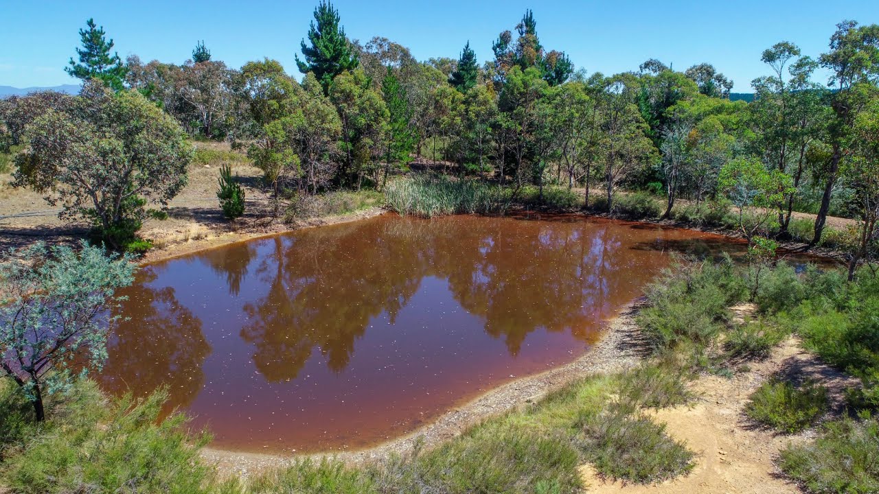 6663 Kings Highway, Carwoola YouTube