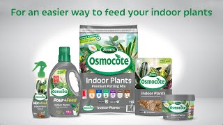 Meet the Osmocote Indoor Family