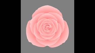 Pink Flower Bloom