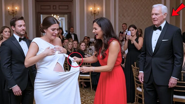 Mistress Ripped Pregnant Wife's Dress Off At The Charity Gala — She Didn't Know Her Dad Was The Judg