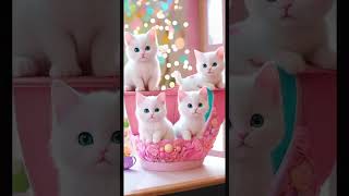 beautiful and unique kittens #cats #video about kittens #beautifulcat by My kittiy  189 views 1 month ago 8 minutes, 10 seconds