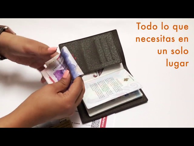 Porta pasaporte LV Porta pasaporte Louis Vuitton Porta pasaporte de viaje  Funda para pasaporte
