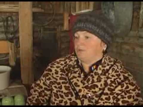 Домашняя ферма Свиньи