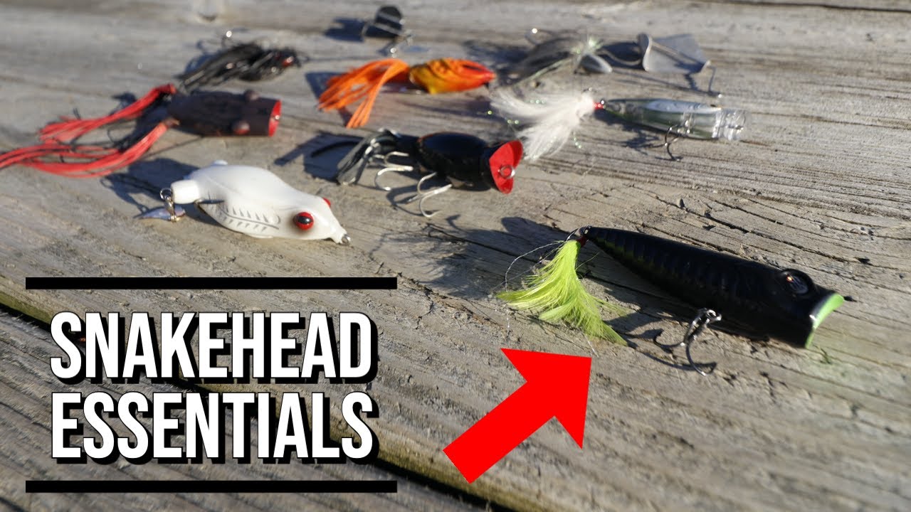 Best Lures for Snakehead Fishing: Top 5 