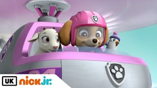 PAW Patrol | Ultimate Rescue: Pups Save the Mountain Climbers | Nick Jr. UK