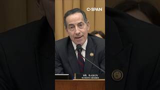 Raskin grills Noem on Good and Pretti